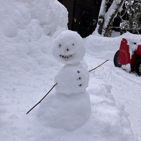 Hakuba Cottage Gram Εξωτερικό φωτογραφία