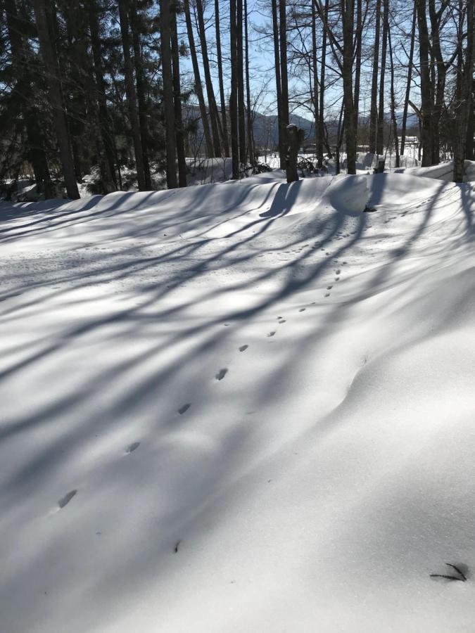 Hakuba Cottage Gram Εξωτερικό φωτογραφία