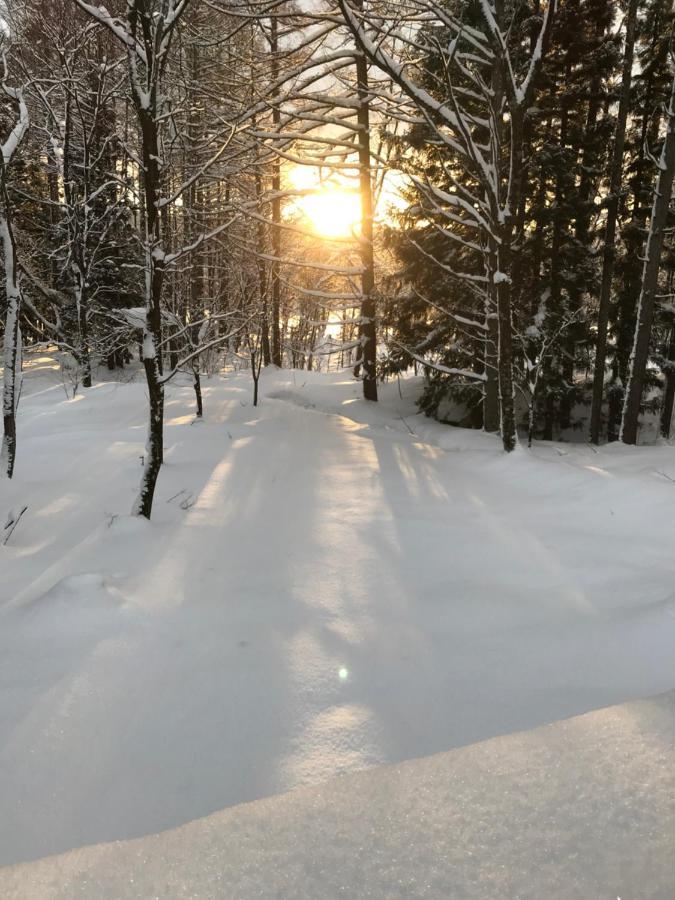 Hakuba Cottage Gram Εξωτερικό φωτογραφία