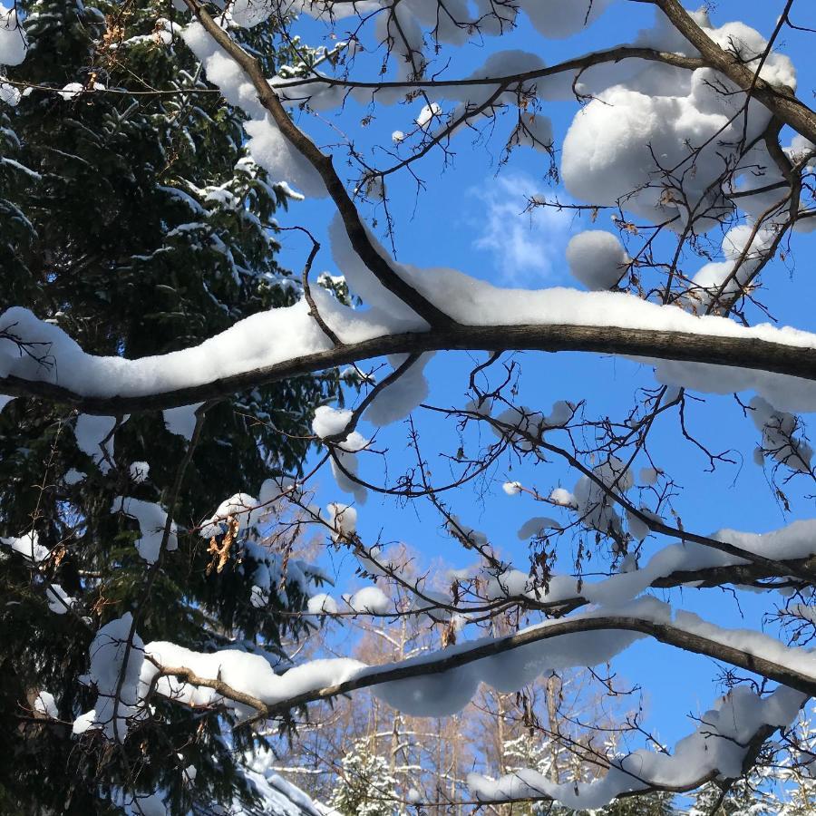 Hakuba Cottage Gram Εξωτερικό φωτογραφία