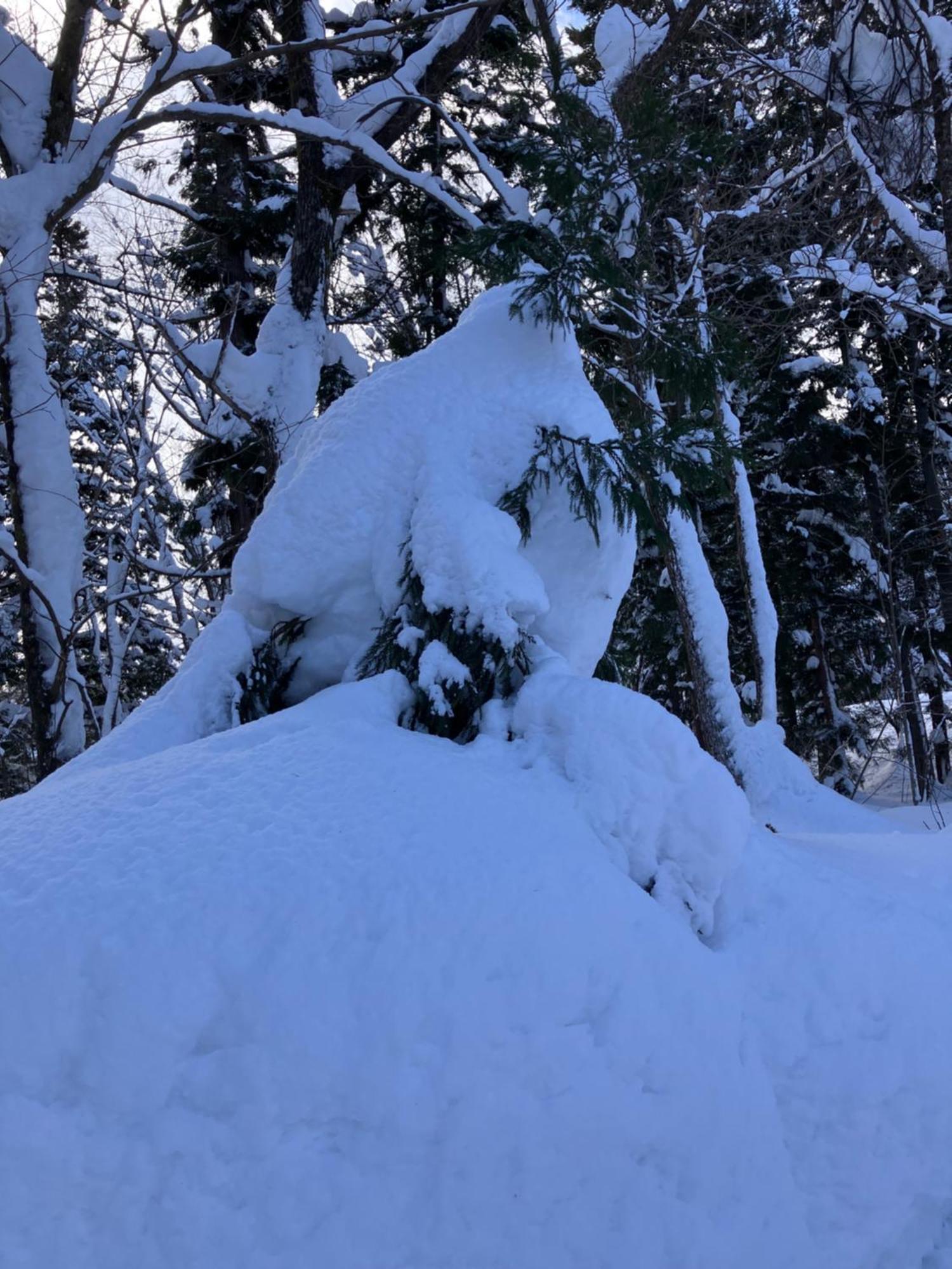Hakuba Cottage Gram Εξωτερικό φωτογραφία