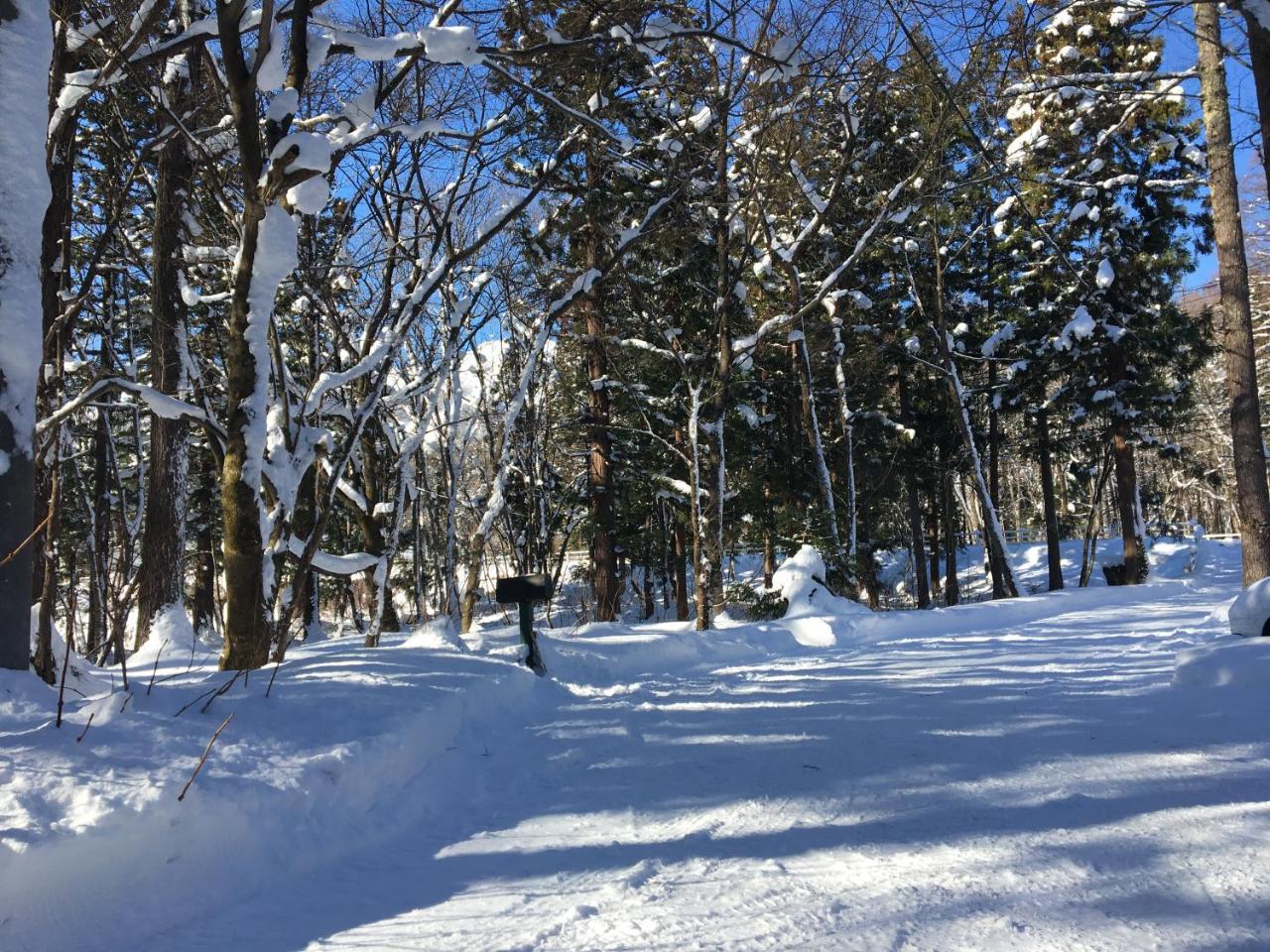 Hakuba Cottage Gram Εξωτερικό φωτογραφία