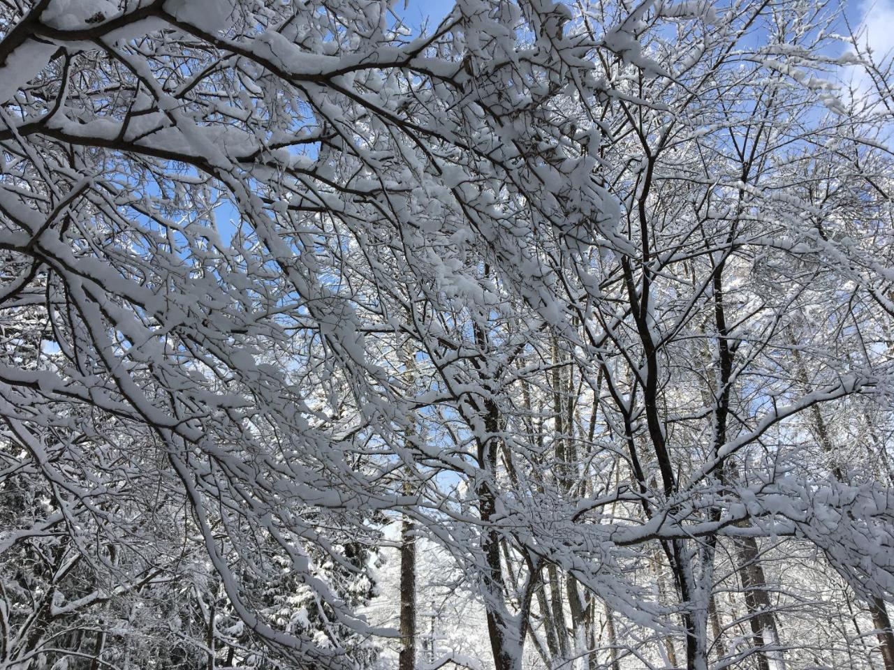 Hakuba Cottage Gram Εξωτερικό φωτογραφία