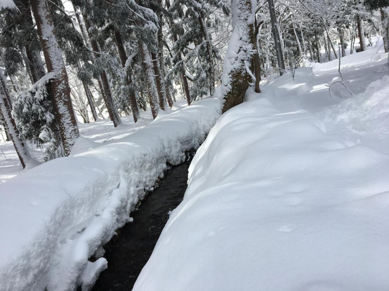 Hakuba Cottage Gram Εξωτερικό φωτογραφία