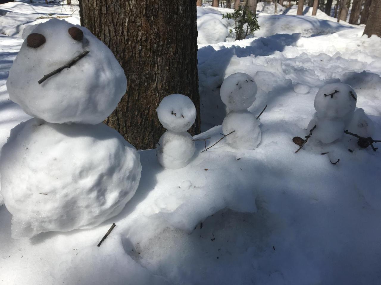Hakuba Cottage Gram Εξωτερικό φωτογραφία