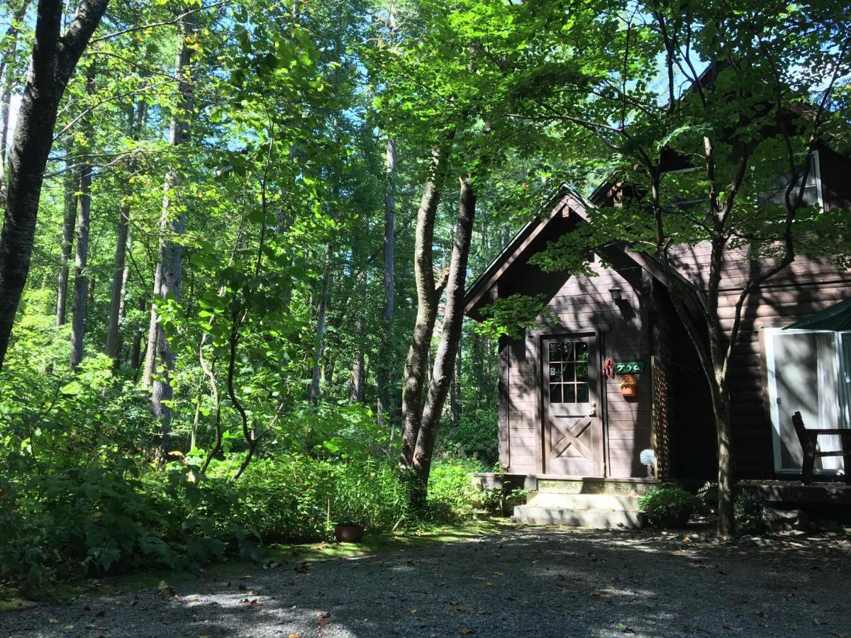 Hakuba Cottage Gram Εξωτερικό φωτογραφία