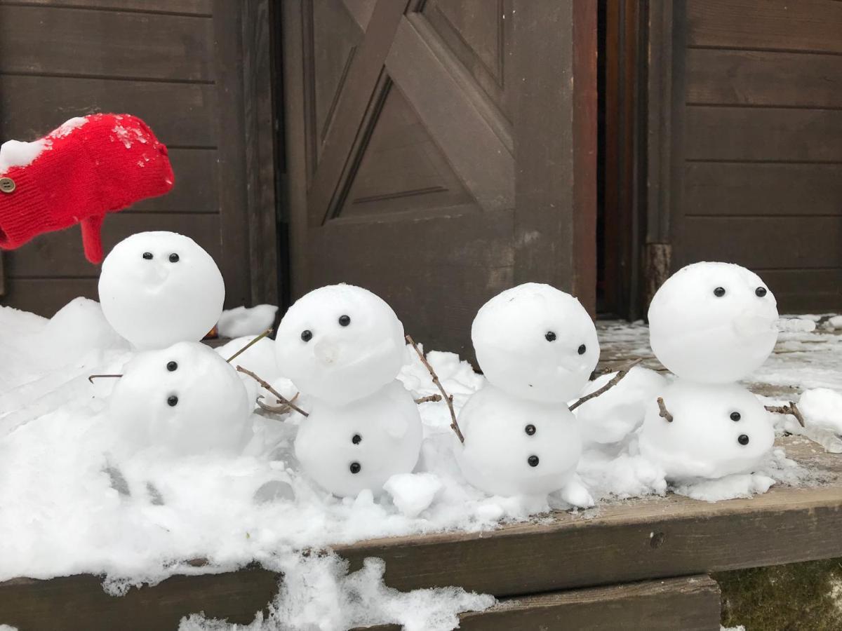 Hakuba Cottage Gram Εξωτερικό φωτογραφία
